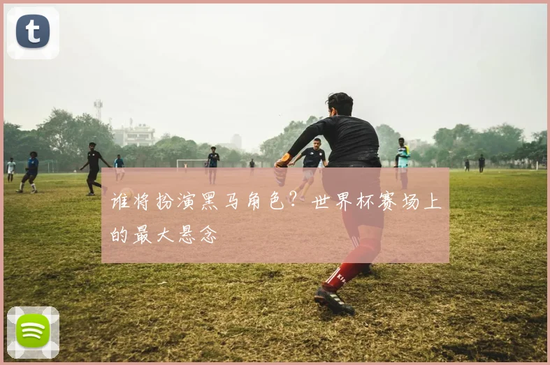 谁将扮演黑马角色？世界杯赛场上的最大悬念