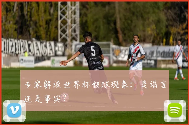 专家解读世界杯假球现象：是谣言还是事实？
