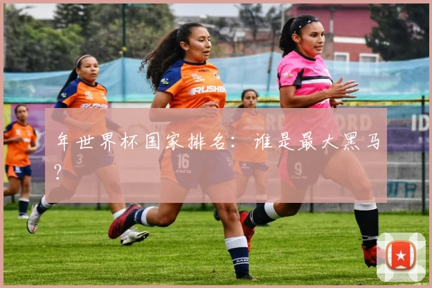 年世界杯国家排名：谁是最大黑马？
