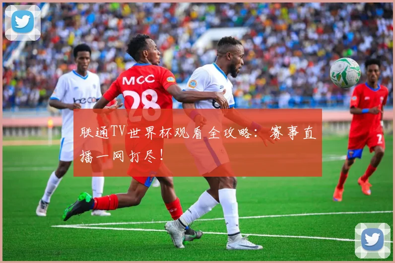 联通TV世界杯观看全攻略：赛事直播一网打尽！