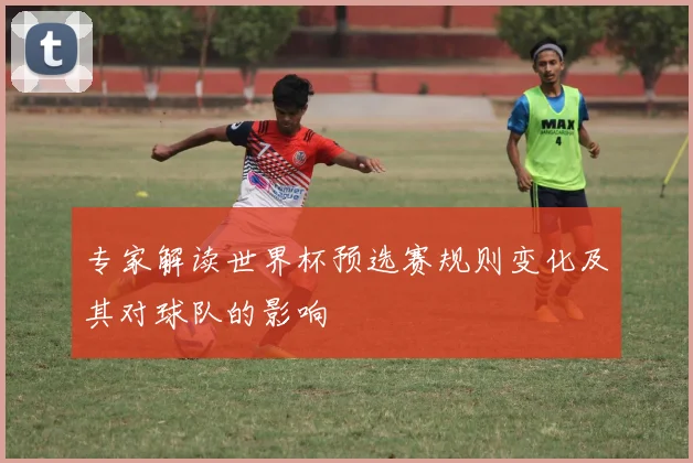 专家解读世界杯预选赛规则变化及其对球队的影响