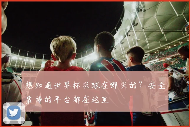 想知道世界杯买球在哪买的？安全靠谱的平台都在这里