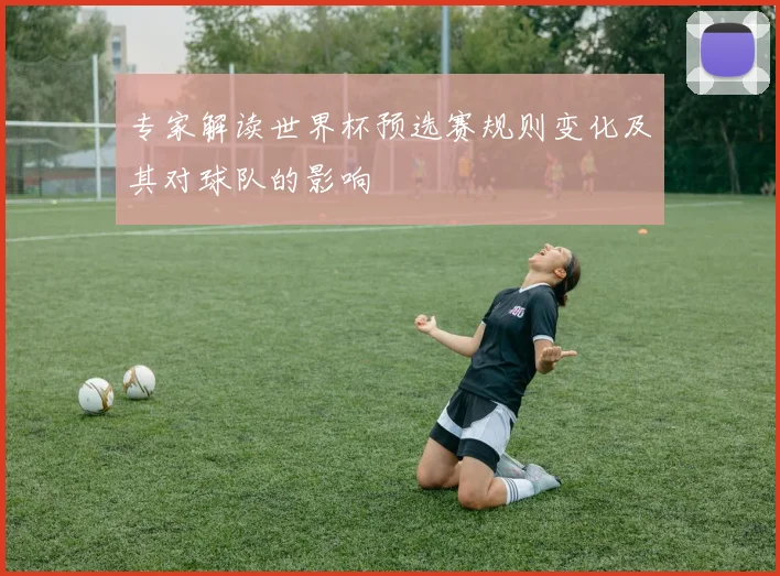 专家解读世界杯预选赛规则变化及其对球队的影响