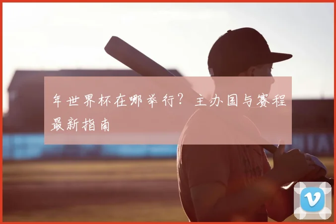 年世界杯在哪举行？主办国与赛程最新指南