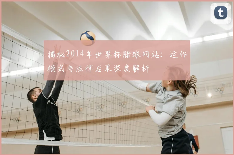 揭秘2014年世界杯赌球网站:运作模式与法律后果深度解析