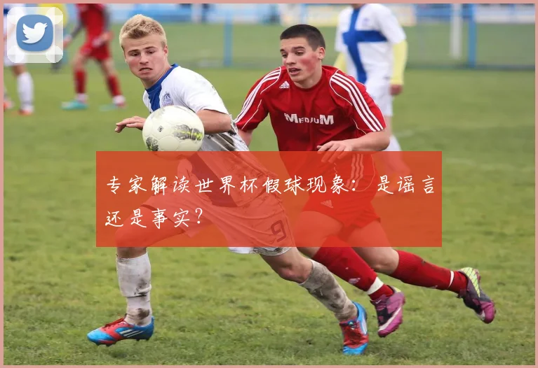 专家解读世界杯假球现象：是谣言还是事实？
