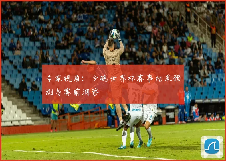 专家视角：今晚世界杯赛事结果预测与赛前洞察