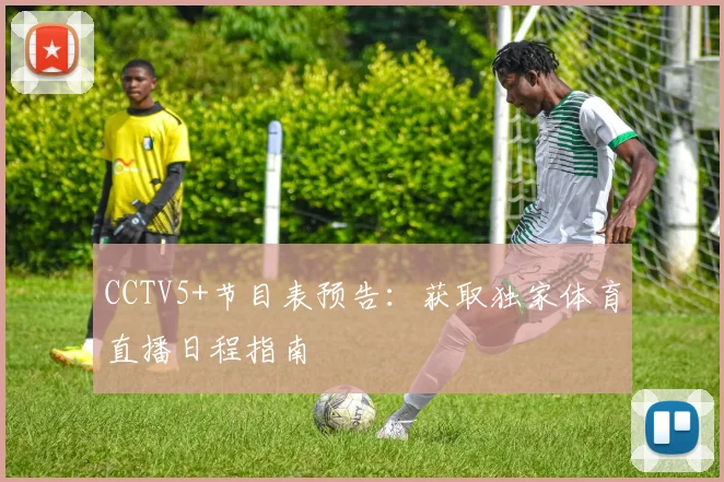 CCTV5+节目表预告：获取独家体育直播日程指南