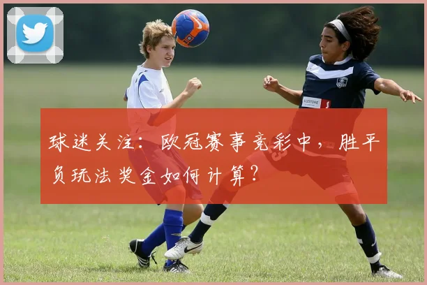 球迷关注:欧冠赛事竞彩中,胜平负玩法奖金如何计算?
