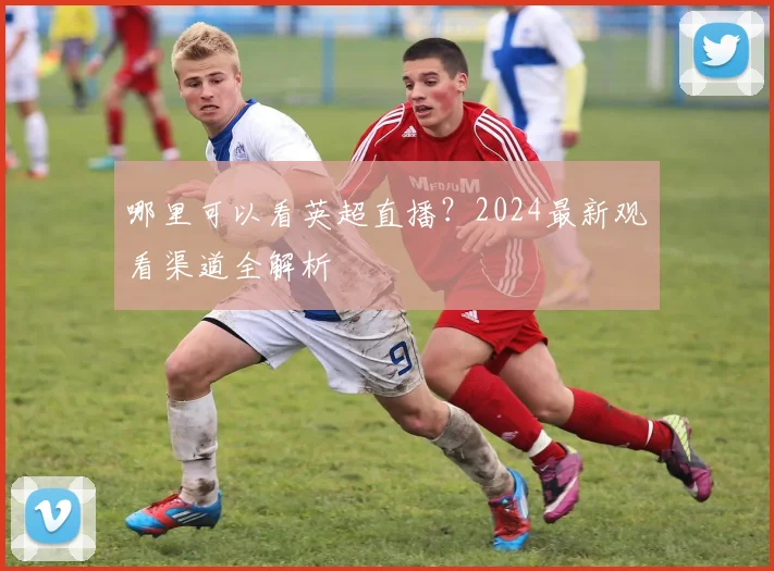 哪里可以看英超直播？2024最新观看渠道全解析