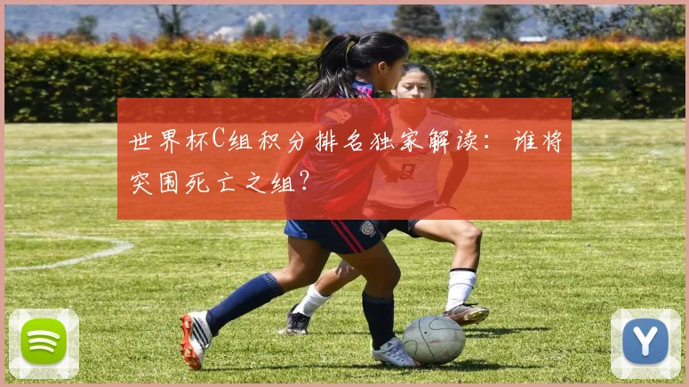世界杯C组积分排名独家解读：谁将突围死亡之组？