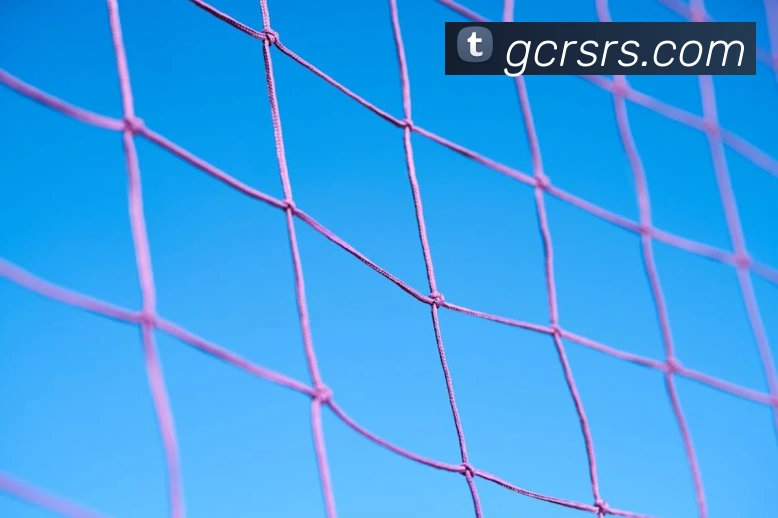 熊猫体育直播观看服务体系